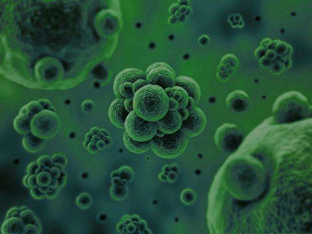 微生物是通過何種方式將廢水中的污染物分解去除掉的？