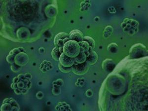 微生物是通過何種方式將廢水中的污染物分解去除掉的？